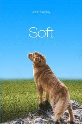 John Wesley - Soft, Häftad