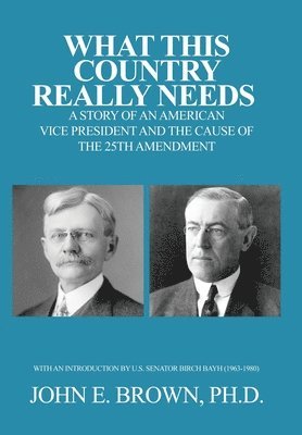 bokomslag What This Country Really Needs: A Story of an American Vice President and the Cause of the 25th Amendment