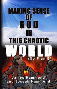 bokomslag Making Sense of God in this Chaotic World