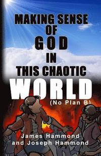 bokomslag Making Sense of God in this Chaotic World: (No Plan B)