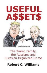 bokomslag Useful Assets