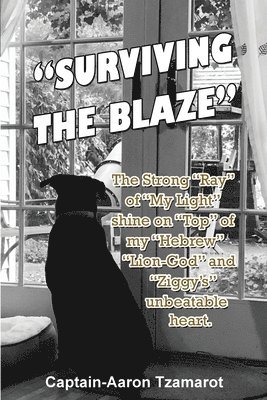 bokomslag 'Surviving the Blaze': The Strong 'Ray' of 'My Light' shine on 'Top' of my 'Hebrew' 'Lion-God' and 'Ziggy's' unbeatable heart.