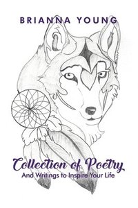 bokomslag Collection of Poetry