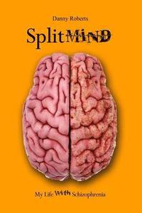 bokomslag Split Mind