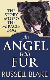 bokomslag An Angel With Fur
