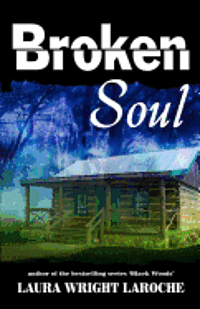 bokomslag Broken Soul