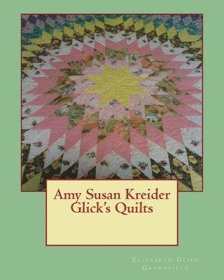 bokomslag Amy Susan Kreider Glick's Quilts