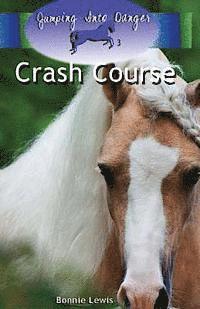 bokomslag Crash Course (Jumping Into Danger #3)