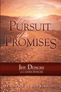 bokomslag In Pursuit of the Promises