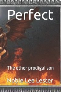 bokomslag Perfect: The other prodigal son