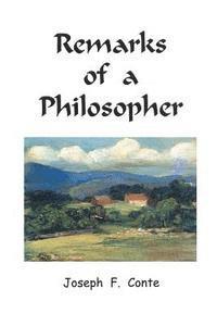 bokomslag Remarks of a Philosopher