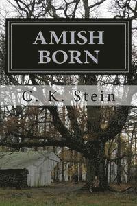 bokomslag Amish Born