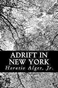 bokomslag Adrift in New York