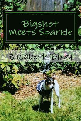 Elizabeth a. Bixby - Bigshot Meets Sparkle, Häftad. Tillgänglighet: Lägg i varukorg