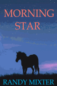 bokomslag Morning Star