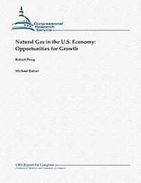 bokomslag Natural Gas in the U.S. Economy: Opportunities for Growth