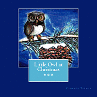 Little Owl at Christmas 1