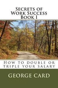 bokomslag Secrets of Work Success: How to double or triple your salary