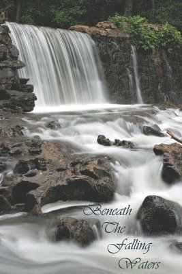 David Chaltas - Beneath The Falling Waters, Häftad
