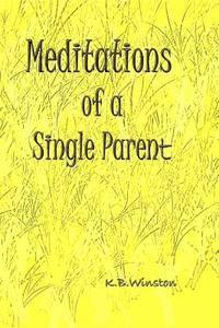 bokomslag Meditations of a Single Parent