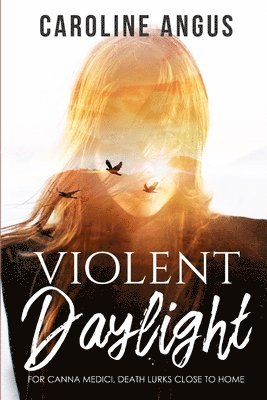 bokomslag Violent Daylight: The sequel to 'Night Wants to Forget'