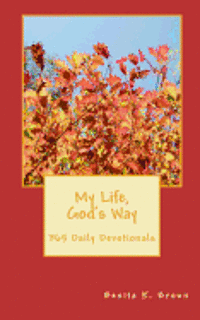 bokomslag My Life God's Way