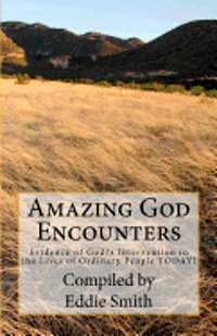 bokomslag Amazing God Encounters: Amazing Stories of God's Intervention