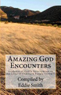 Amazing God Encounters: Amazing Stories of God's Intervention 1