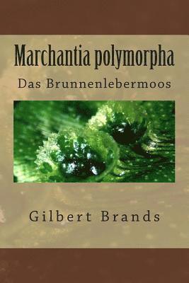 Marchantia polymorpha: Das Brunnenlebermoos 1