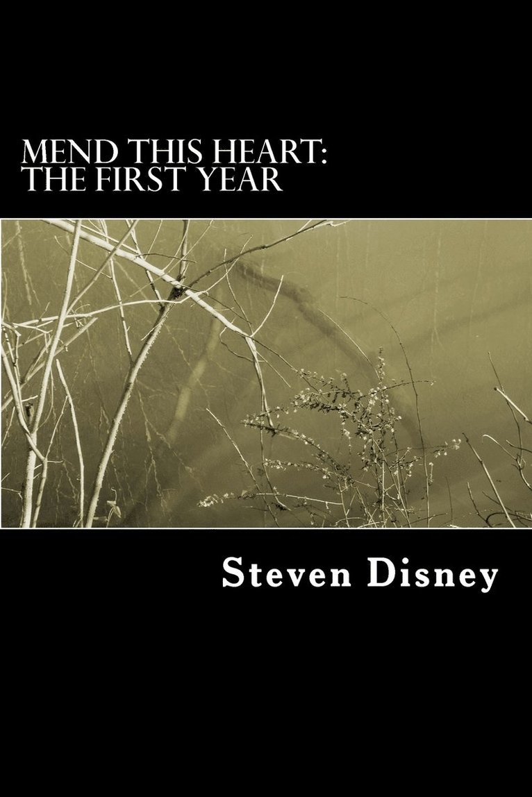 Mend This Heart 1