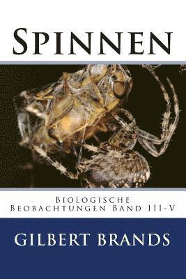 Spinnen 1