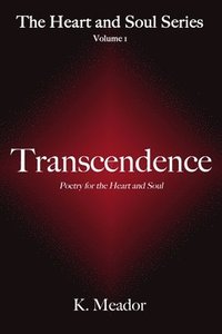 bokomslag Transcendence