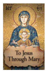 bokomslag To Jesus through Mary