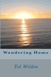 bokomslag Wandering Home