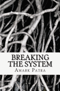 Cithara S. Patra, Amark Patra - Breaking the System, Häftad