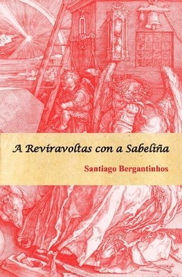 bokomslag A reviravoltas con a Sabelinha
