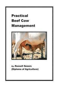 bokomslag Practical Beef Cow Management