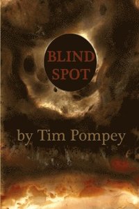 bokomslag Blind Spot
