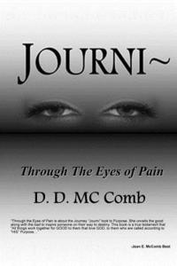 bokomslag Journi Through The Eyes Of Pain