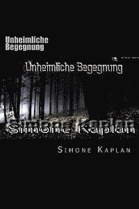 bokomslag Unheimliche Begegnung