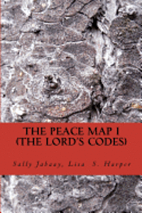 bokomslag The Peace Map - The Lord's Code: The Bible has code messages within limited verses. The code messages will answer who is innocent or guilty, who is be