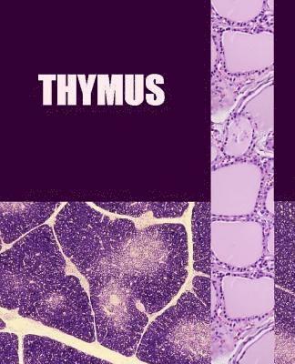 bokomslag Thymus