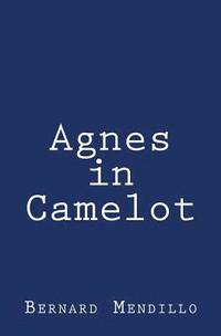 bokomslag Agnes in Camelot