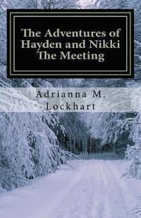 bokomslag The Adventures of Hayden and Nikki: The Meeting
