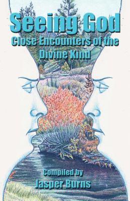 bokomslag Seeing God: Close Encounters of the Divine Kind