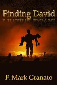 bokomslag Finding David