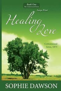 bokomslag Healing Love: Large Print