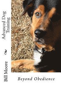 bokomslag Beyond Obedience - Advanced Dog Training