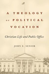 bokomslag Theology of Political Vocation