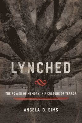 bokomslag Lynched